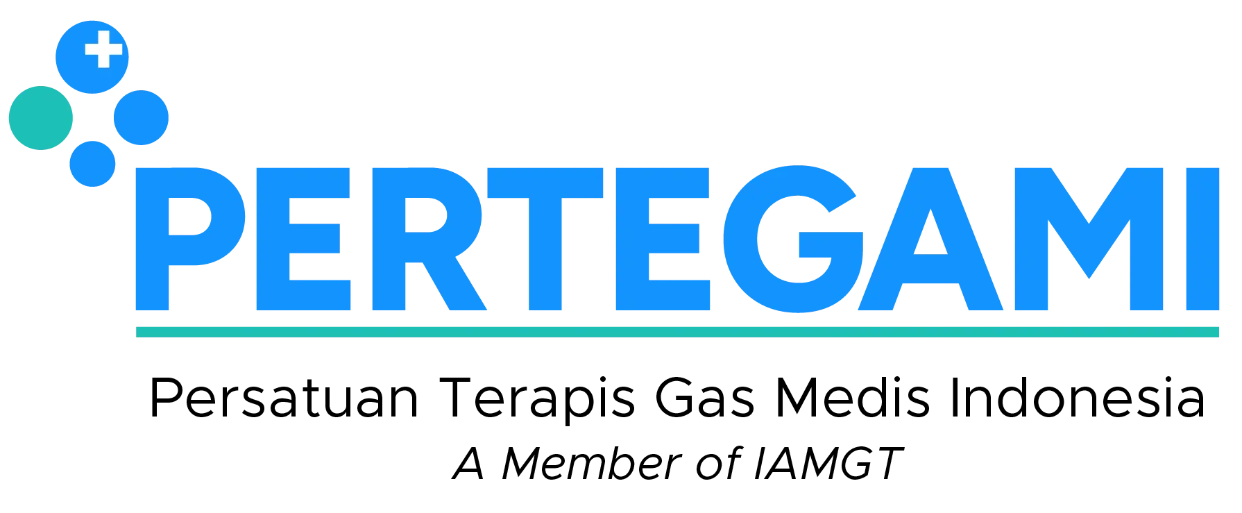 Persatuan Terapist Gas Medis Indonesia